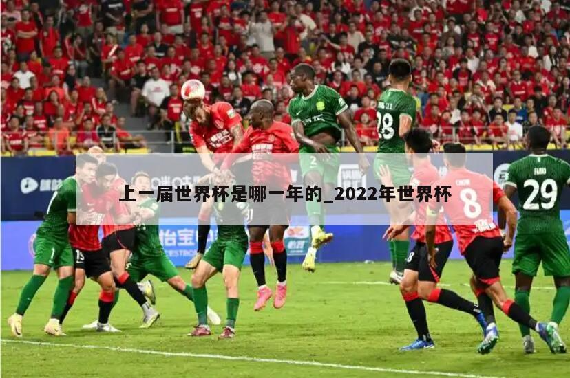 上一届世界杯是哪一年的_2022年世界杯