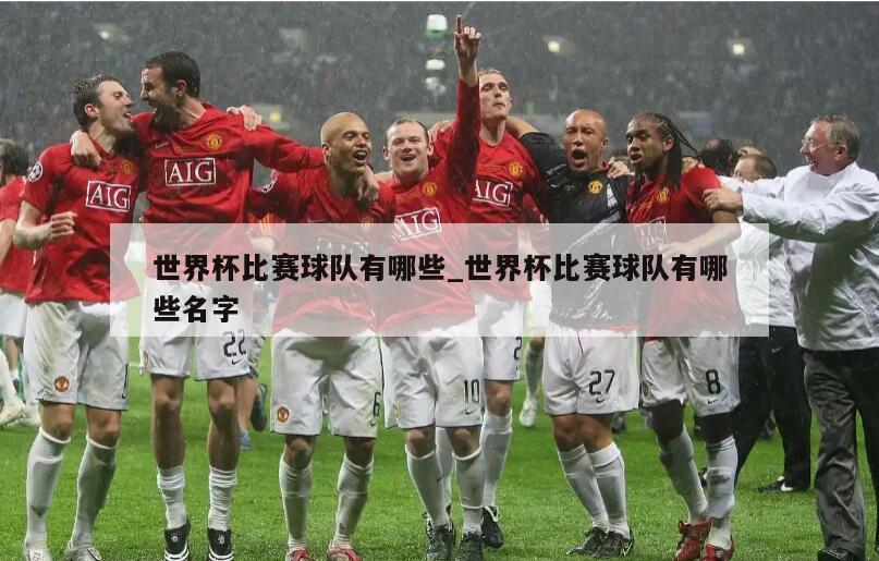世界杯比赛球队有哪些_世界杯比赛球队有哪些名字