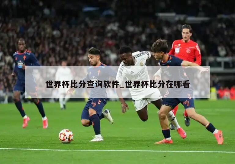 世界杯比分查询软件_世界杯比分在哪看