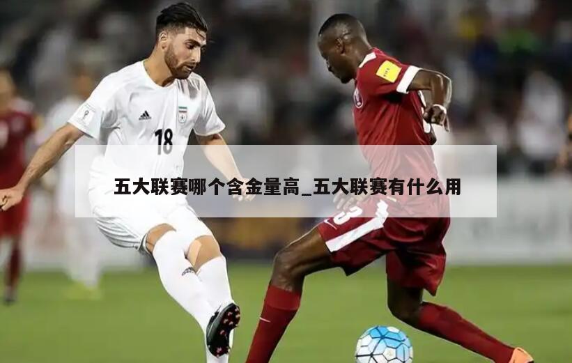 五大联赛哪个含金量高_五大联赛有什么用