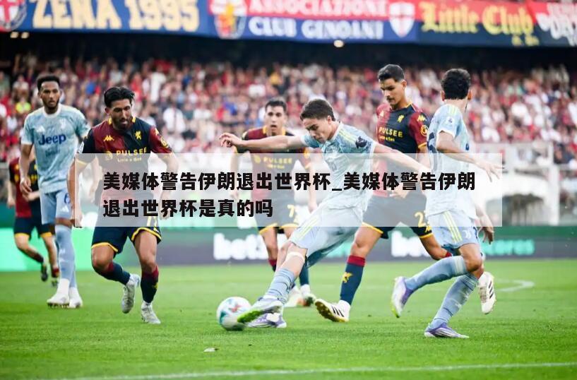 美媒体警告伊朗退出世界杯_美媒体警告伊朗退出世界杯是真的吗