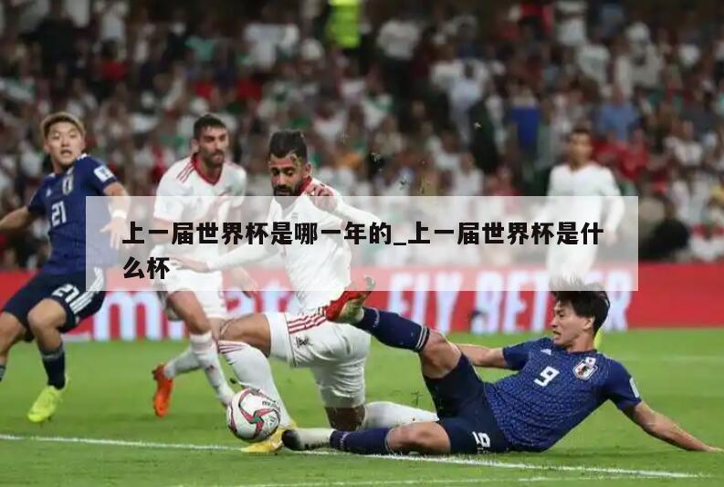 上一届世界杯是哪一年的_上一届世界杯是什么杯