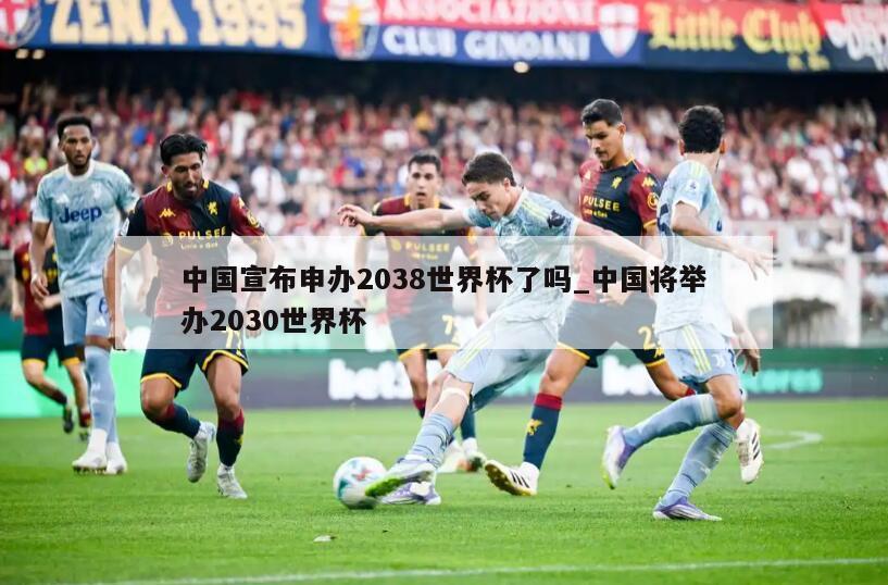 中国宣布申办2038世界杯了吗_中国将举办2030世界杯