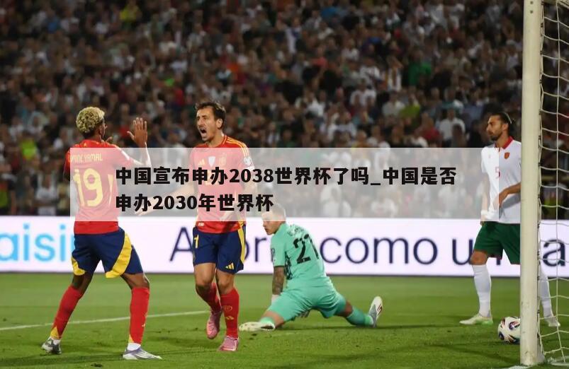 中国宣布申办2038世界杯了吗_中国是否申办2030年世界杯
