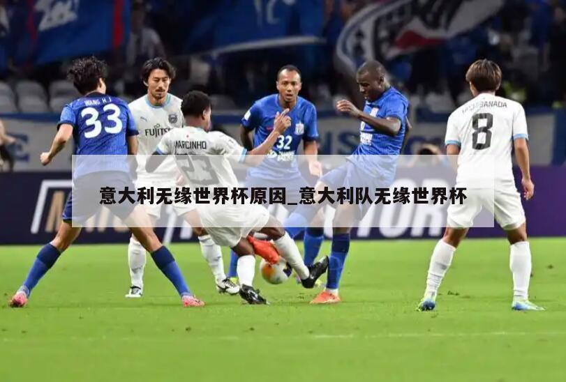 意大利无缘世界杯原因_意大利队无缘世界杯
