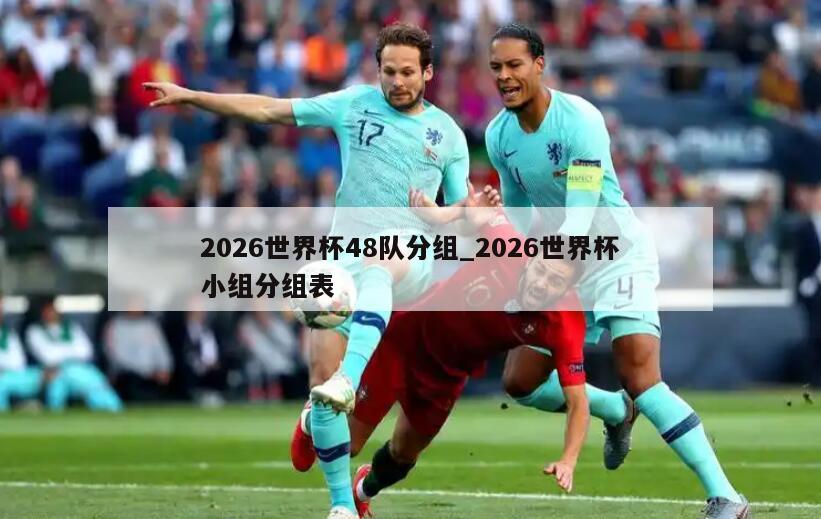 2026世界杯48队分组_2026世界杯小组分组表