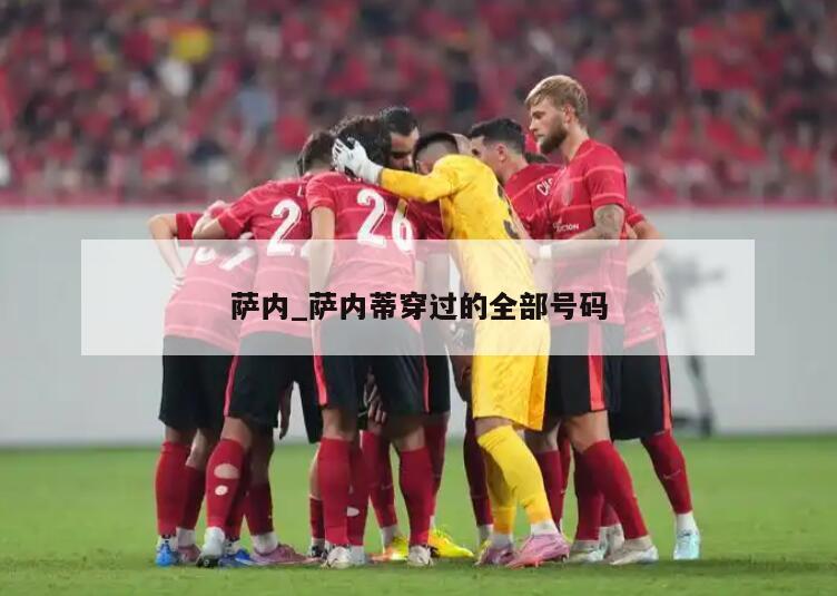 萨内_萨内蒂穿过的全部号码