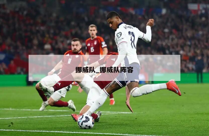 挪威队_挪威队阵容