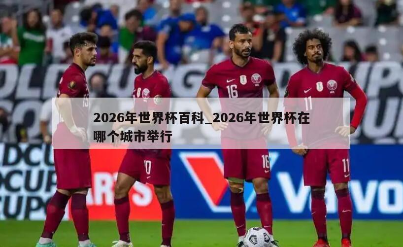 2026年世界杯百科_2026年世界杯在哪个城市举行