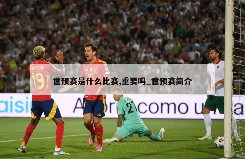 世预赛是什么比赛,重要吗_世预赛简介