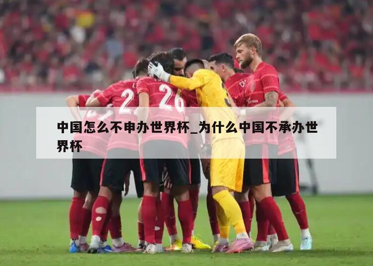 中国怎么不申办世界杯_为什么中国不承办世界杯