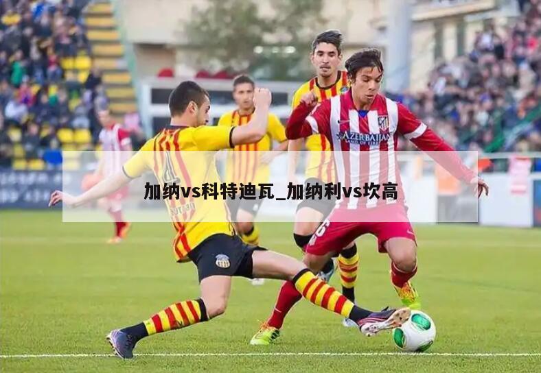 加纳vs科特迪瓦_加纳利vs坎高